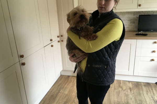 Ogłoszenie - Rasowe, malutkie szczenięta yorkshire terrier. Szczegóły na WhatsApp: +4917667652853. Zdjęcie 1