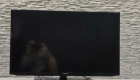 Ogłoszenie - 40 Cali Telewizor SAMSUNG LED + Kabel HDMI + Uchwyt+Upominek - 639,00 zł