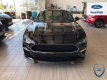 Ogłoszenie - Ford Mustang VI BULLITT 5.0 460 KM M6 - 247 610,00 zł