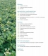 Ogłoszenie - Ziemniak – hodowla, agrotechnika, przechowywanie, przetwórstwo - 45,00 zł