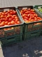 Ogłoszenie - Pomidor gruntowy, polny, dyno, lima przecier - Mazowieckie - 1,00 zł