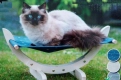 Ogłoszenie - Hamak dla kota legowisko kocie mebelki 3 kolory - 59,00 zł