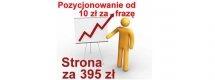 Ogłoszenie - Strona wizytówka Szczecinek tania strona internetowa WWW strony mobilne - 395,00 zł