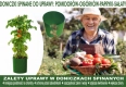 Ogłoszenie - Cylindry do POMIDORÓW uprawa na działce w ogródku 20x18 - 1,00 zł