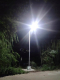 Ogłoszenie - Choinka sztuczna na pniu diamentowa  180cm lub 220cm Lampy solarne uliczne przemyslowe  Odkurzacz przemyslowy  259 Rower - Konin - 259,00 zł