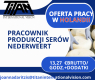 Ogłoszenie - PRACOWNIK PRODUKCJI SERÓW 13,27 €  brutto/godz. NEDERWEERT HOLANDIA - Opole