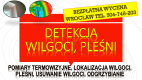 Ogłoszenie - Wykrycie pleśni, tel. 504-746-203. Wrocław, wykrywanie, pleśń, lokalizacja wycieku, wilgoci. Osuszanie mieszkania. - Wrocław