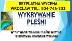 Ogłoszenie - Wykrycie grzyba w mieszkaniu, tel. 504-746-203, Wrocław, lokalizacja pleśni i wilgoci.   Jak pozbyć się grzyba ? - Wrocław