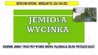 Ogłoszenie - Usuwanie jemioły z drzew, tel. 504-746-203. Wrocław, Jemioła wycinka,  Pielęgnacja drzew i wycinka jemioły - Wrocław