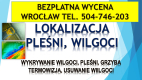 Ogłoszenie - Wykrycie grzyba w mieszkaniu, tel. 504-746-203, Wrocław, lokalizacja pleśni i wilgoci.   Jak pozbyć się grzyba ? - Wrocław