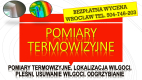 Ogłoszenie - Wykrycie pleśni, tel. 504-746-203. Wrocław, wykrywanie, pleśń, lokalizacja wycieku, wilgoci. Osuszanie mieszkania. - Wrocław