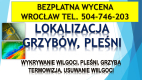 Ogłoszenie - Wykrycie grzyba w mieszkaniu, tel. 504-746-203, Wrocław, lokalizacja pleśni i wilgoci.   Jak pozbyć się grzyba ? - Wrocław