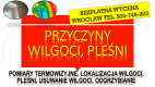 Ogłoszenie - Wykrycie pleśni, tel. 504-746-203. Wrocław, wykrywanie, pleśń, lokalizacja wycieku, wilgoci. Osuszanie mieszkania. - Wrocław