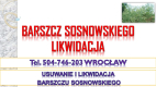 Ogłoszenie - Usuwanie barszczu Sosnowskiego, cena, tel 504-746-203, Wrocław, likwidacja, zwalczanie, utylizacja , usunięcie, barszczu - Wrocław