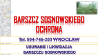 Ogłoszenie - Usuwanie barszczu Sosnowskiego, cena, tel 504-746-203, Wrocław, likwidacja, zwalczanie, utylizacja , usunięcie, barszczu - Wrocław