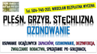 Ogłoszenie - Ozonowanie Wrocław, cennik, tel. 504-746-203. Usuwanie wirusów grzybów, pleśni  Odświeżania i likwidacja zapachów. - Wrocław