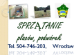 Ogłoszenie - Sprzątanie terenu, cena tel 504-746-203, trawnika, wywóz śmieci, Wrocław Sprzątanie terenów zewnętrznych - Wrocław