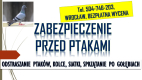 Ogłoszenie - Odstraszanie gołębi, Wrocław, tel. 504-746-203. Płoszenie ptaków, cena - Wrocław
