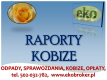 Ogłoszenie - Kobize, opłaty środowiskowe, obsługa firm, cena, tel 502-032-782, raportowanie. Wykonanie raportu dla zakładu. - Wrocław