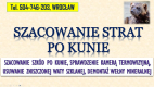 Ogłoszenie - Szacowanie szkód po kunie, tel. 504-746-203, Wrocław. Wycena szkody, wełna mineralna - Wrocław