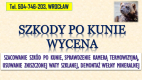 Ogłoszenie - Szacowanie szkód po kunie, tel. 504-746-203, Wrocław. Wycena szkody, wełna mineralna - Wrocław