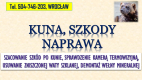 Ogłoszenie - Szacowanie szkód po kunie, tel. 504-746-203, Wrocław. Wycena szkody, wełna mineralna - Wrocław