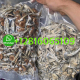 Ogłoszenie - whatsapp +12816065109 to buy mushrooms, xanax and cocaine for sale in Singapore and Malaysia - Rumia - 500,00 zł