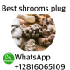 Ogłoszenie - whatsapp +12816065109 to buy mushrooms, xanax and cocaine for sale in Singapore and Malaysia - Rumia - 500,00 zł