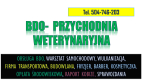 Ogłoszenie - Raport BDO dla gabinetu weterynaryjnego, tel. 504-746-203, sprawozdanie, pomoc.  Sprawozdanie o wytworzonych odpadach.