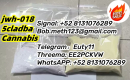 Ogłoszenie - 5cladba 5f-adb 5cl precursors 5cl-adb-a cloud 9 kush 6cladba k2 powder k2 spice mamba kush - Ruda Śląska - 2,00 zł