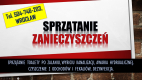 Ogłoszenie - Sprzątanie zabrudzonych toalet, tel. 504-746-203. Wrocław. Zalaniu fekaliami. Po zabrudzeniu, przez fekalia i odchody.