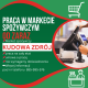 Ogłoszenie - Praca w markecie, Dino Polska S.A., Kudowa Zdrój - Wrocław