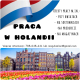 Ogłoszenie - PRACA W HOLANDII - Sortowanie owoców na hali od 17.02 !!!
