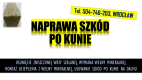Ogłoszenie - Naprawa szkód po kunie, tel. 504-746-203,  ocieplenia, wełny mineralnej. dachu, podbitki, demontaż waty szklanej - Wrocław