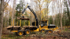 Ogłoszenie - MASZYNE LEŚNE FORWARDER TCI 1055C - Tarnobrzeg