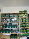 Ogłoszenie - Akumulator motocyklowy 12V 18Ah 270A Exide ETX20HL-BS ytx20hl-bs P+ - Gniezno - 255,00 zł