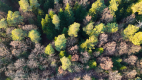 Ogłoszenie - Profesjonalne USŁUGI DRONEM - zdjęcia i filmy z lotu ptaka - Świętokrzyskie - 100,00 zł