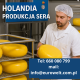 Ogłoszenie - Holandia/Produkcja sera/od zaraz - Holandia - 60,00 zł