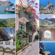 Ogłoszenie - Wycieczki Gran Canaria po polsku z Simon Tours