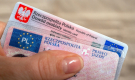Ogłoszenie - Sprzedaję legalne prawa jazdy - Kraków - 2 000,00 zł