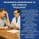 Ogłoszenie - Dochodzenie odszkodowań, dopłaty do odszkodowań. Odszkodowania, zadośćuczynienie. Darmowa analiza sprawy!