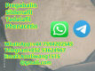Ogłoszenie - High-quality Tadalafil and Tirzepatide is on sale - Warmińsko-mazurskie