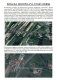 Ogłoszenie - Syndyk sprzeda działkę w Stary Dębsk (Sochaczew) - Sochaczew - 105 750,00 zł
