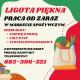 Ogłoszenie - Praca w markecie, Dino Polska S.A., Ligota Piękna - Wrocław