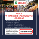 Ogłoszenie - Praca w markecie, Dino Polska S.A., Siedlec - Wrocław