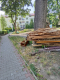 Ogłoszenie - Oddam drewno wraz z schodami - Warszawa