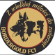 Ogłoszenie - Hodowla BorderGold Border Collie ZKwP FCI - Łódzkie - 1,00 zł