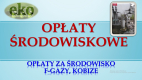 Ogłoszenie - Opłaty środowiskowe, tel. 502-032-782. Raport Kobize, Wykaz, naliczanie opłat za środowisko,. wykonanie sprawozdania - Wrocław