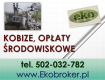 Ogłoszenie - Wprowadzenie raportu, Kobize, cena tel, 502-032-782, poprawa błedów,  wykonanie raportu do KOBiZE - Wrocław