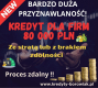 Ogłoszenie - Kredyt dla FIRM 80 000 PLN ze stratą/z brakiem zdolności - BARDZO DUŻA PRZYZNAWALNOŚĆ! - Pomorskie
